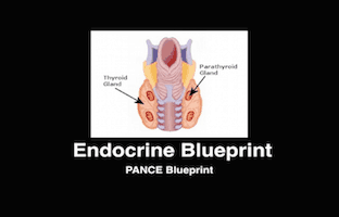 Endocrine, PANCE Review Courses, PANRE Review Courses, PANCE Review, PANRE Review, PANCE, PANRE, Physician Assistant, NCCPA Blueprint, COMLEX, USMLE, Free CME, CME