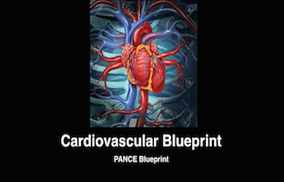 Cardiovascular, PANCE, PANRE, PANCE Review Courses, PANRE Review Courses, USMLE, COMLEX, Cardiology, EKG, ECG, CME, Free CME, NCCPA Blueprint, PANCE, PANRE